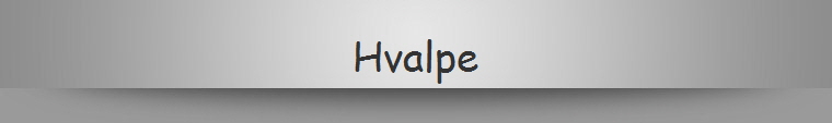 Hvalpe