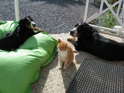 Millie-Garfield-Ben Millie-Garfield-Ben