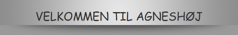 VELKOMMEN TIL AGNESHJ