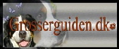 grosserguiden-banner